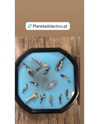 Tabuleiro Mundo Ativo / Active World Tuff - Preto